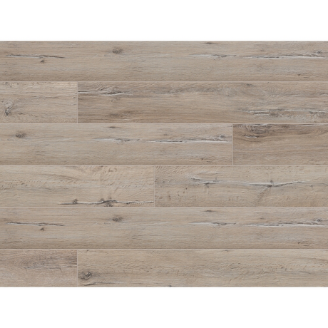 Panele podłogowe CLASSEN EXPERT 56570 DĄB ALICANTE AC5 8 mm